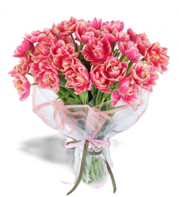 Pembe Lale