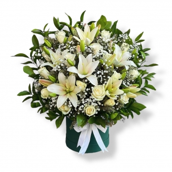 Kutuda kazabilanka beyaz gül 